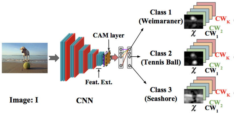 Class-Weighted Convolutional Features